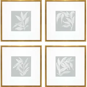 Leaf Study S/4 Framed Art
