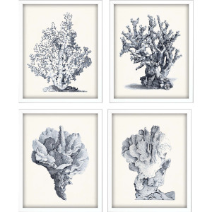 Blue Antique Coral S/4 Framed Art