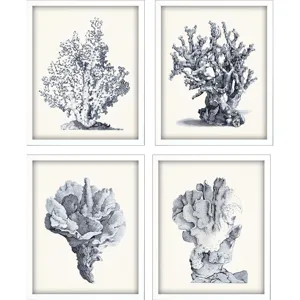 Blue Antique Coral S/4 Framed Art