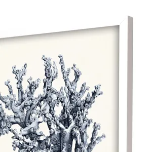 Blue Antique Coral S/4 Framed Art