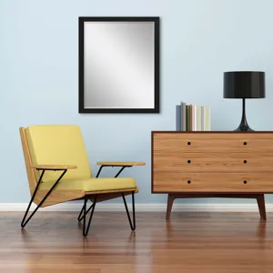 #869 22 x 28 Beveled Mirrors