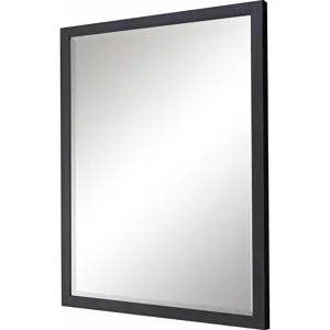 #869 22 x 28 Beveled Mirrors