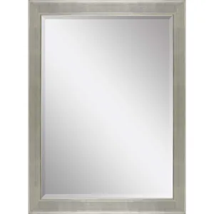 #864 24 x 36 Beveled Mirrors