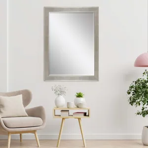 #864 24 x 36 Beveled Mirrors