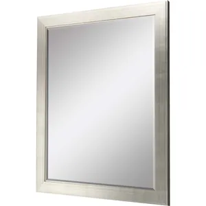 #864 30 x 40 Beveled Mirrors