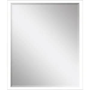 #867 22 x 28 Beveled Mirrors