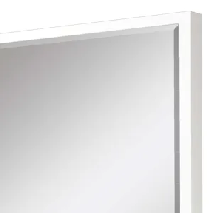 #867 24 x 36 Beveled Mirrors