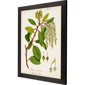 Antique Greenery IV Framed Art