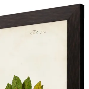 Antique Greenery III Framed Art