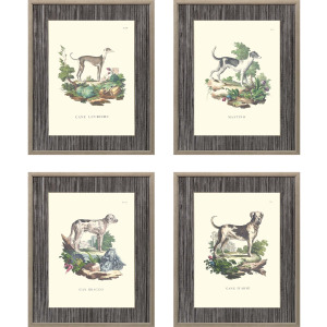 French Dogs S/4 Framed Art