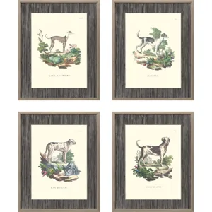 French Dogs S/4 Framed Art