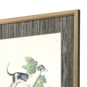 French Dogs S/4 Framed Art