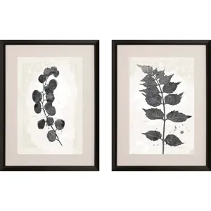 Garden Vines I S/2 Framed Art