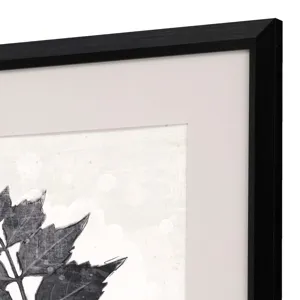 Garden Vines I S/2 Framed Art