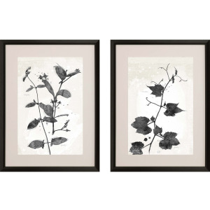 Garden Vines II S/2 Framed Art