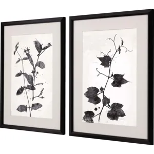 Garden Vines II S/2 Framed Art