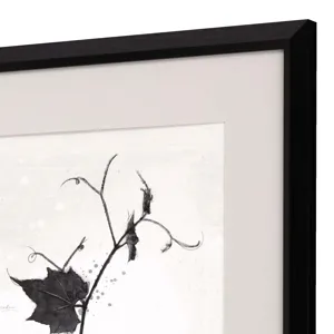 Garden Vines II S/2 Framed Art