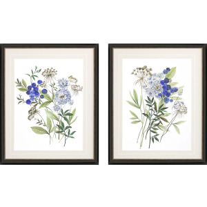 Botana S/2 Framed Art
