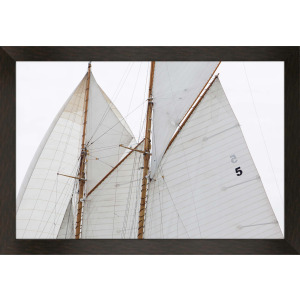 Sailing Focus - Run Framed Art