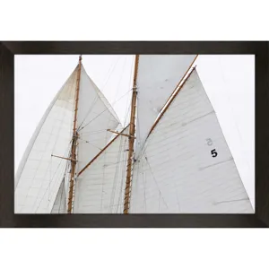 Sailing Focus - Run Framed Art