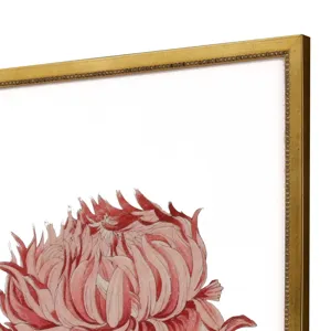 Chrysanthemum S/4 Framed Art