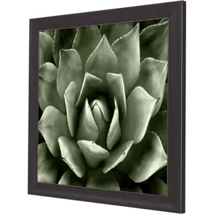 Green Succulent II Framed Art