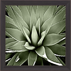 Green Succulent III Framed Art