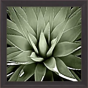 Green Succulent III Framed Art