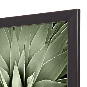 Green Succulent III Framed Art