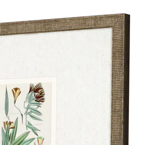 Antique Botanical I S/3 Framed Art