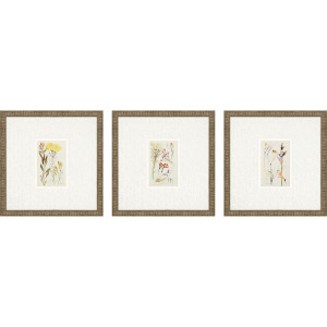 Antique Botanical II S/3 Framed Art