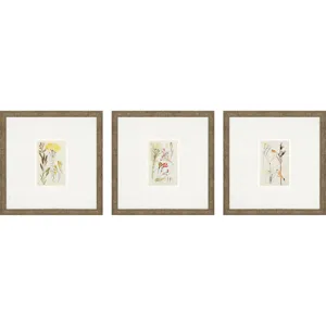 Antique Botanical II S/3 Framed Art