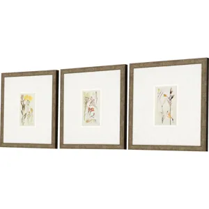 Antique Botanical II S/3 Framed Art