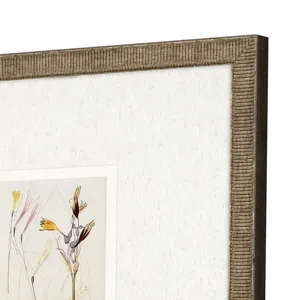 Antique Botanical II S/3 Framed Art
