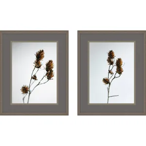 Dried Bud S/2 Framed Art
