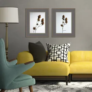 Dried Bud S/2 Framed Art