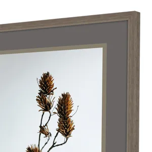 Dried Bud S/2 Framed Art