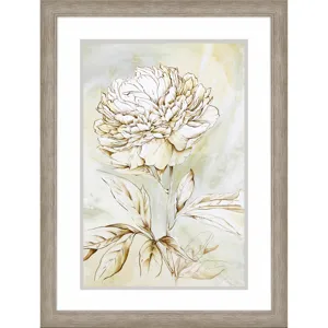 Beauty Within II Framed Art