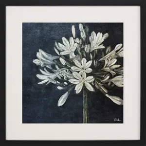 Midnight Lilies I Framed Art