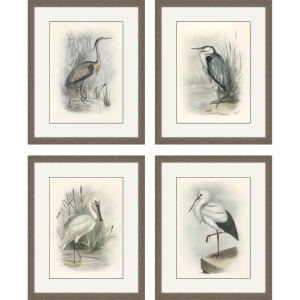 Birds S/4 Framed Art