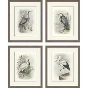Birds S/4 Framed Art