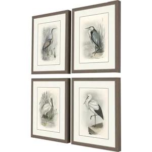 Birds S/4 Framed Art