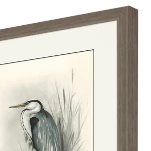 Birds S/4 Framed Art