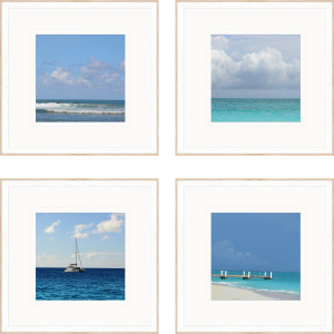 Ocean Adventures I S/4 Framed Art