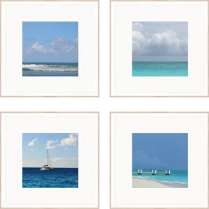 Ocean Adventures I S/4 Framed Art