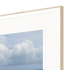 Ocean Adventures I S/4 Framed Art