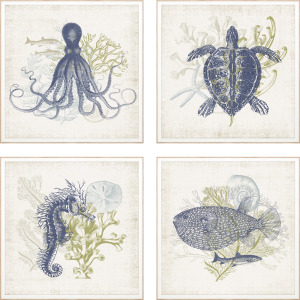 Coastal Ephemera S/4 Framed Art