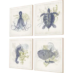 Coastal Ephemera S/4 Framed Art