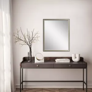 #424 22 x 28 Beveled Mirrors