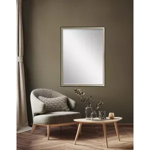 #424 24 x 36 Beveled Mirrors